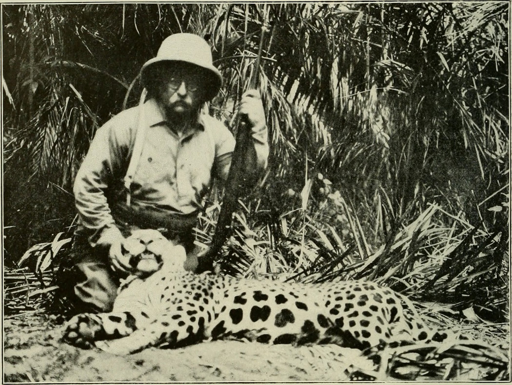 1913年,巴西,西奥多·罗斯福与被猎杀的美洲豹合影。