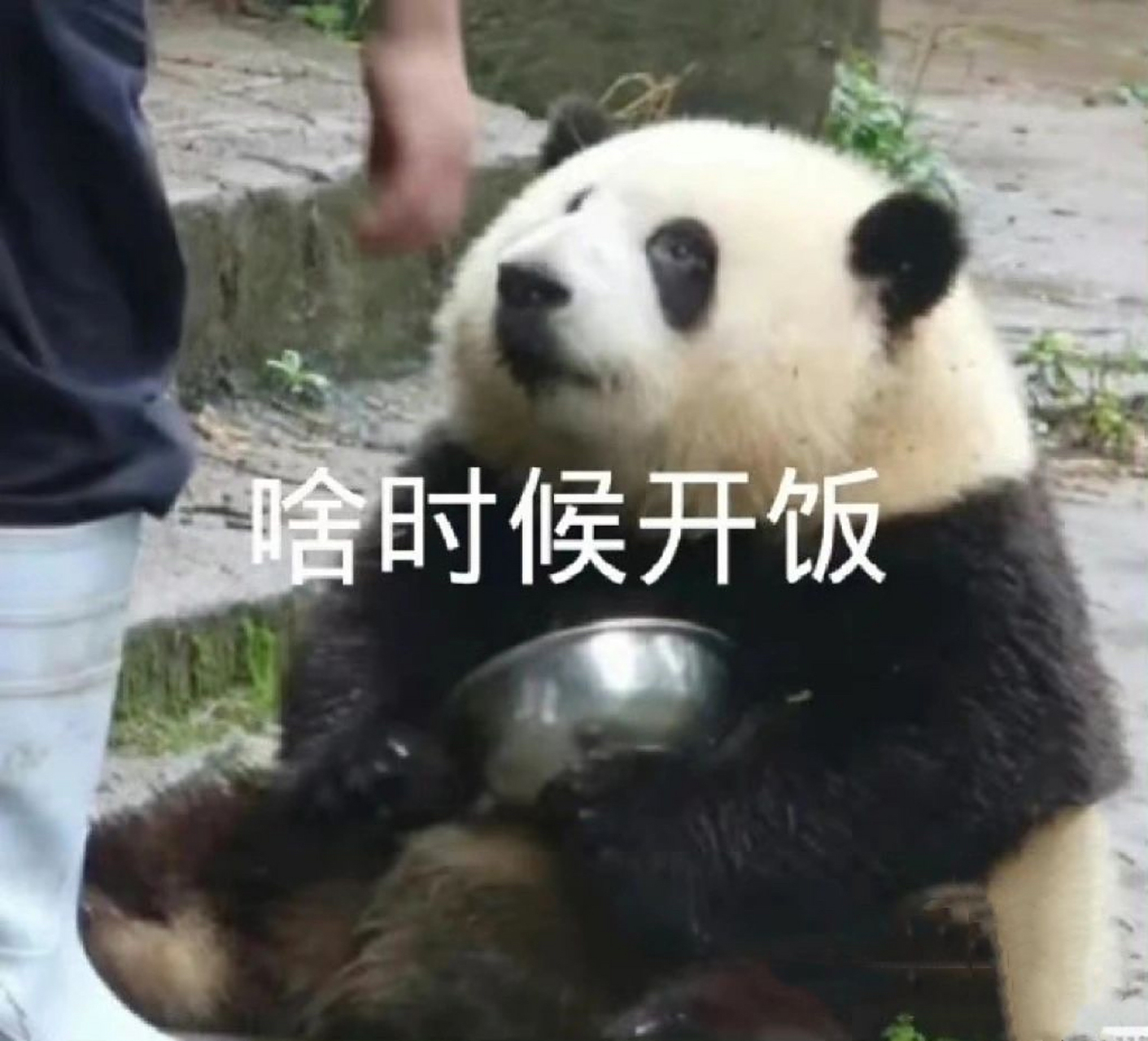 花花表情包第26615弹