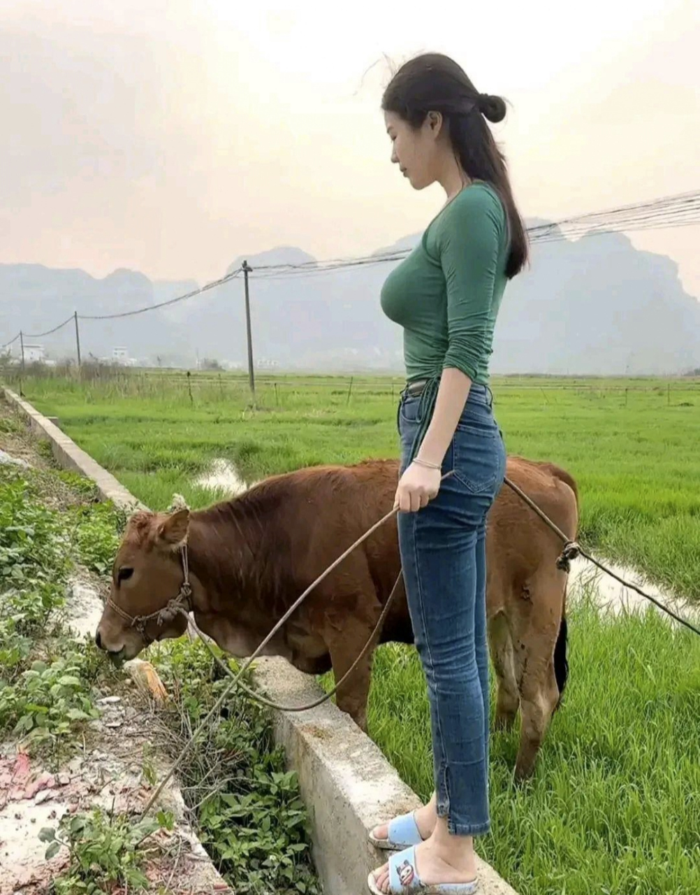 这些回农村放牛的女孩,为什么要拍视频记录啊?