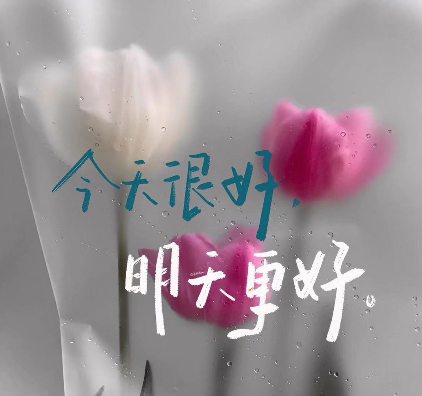 今天很好,明天会更好.加油哦!