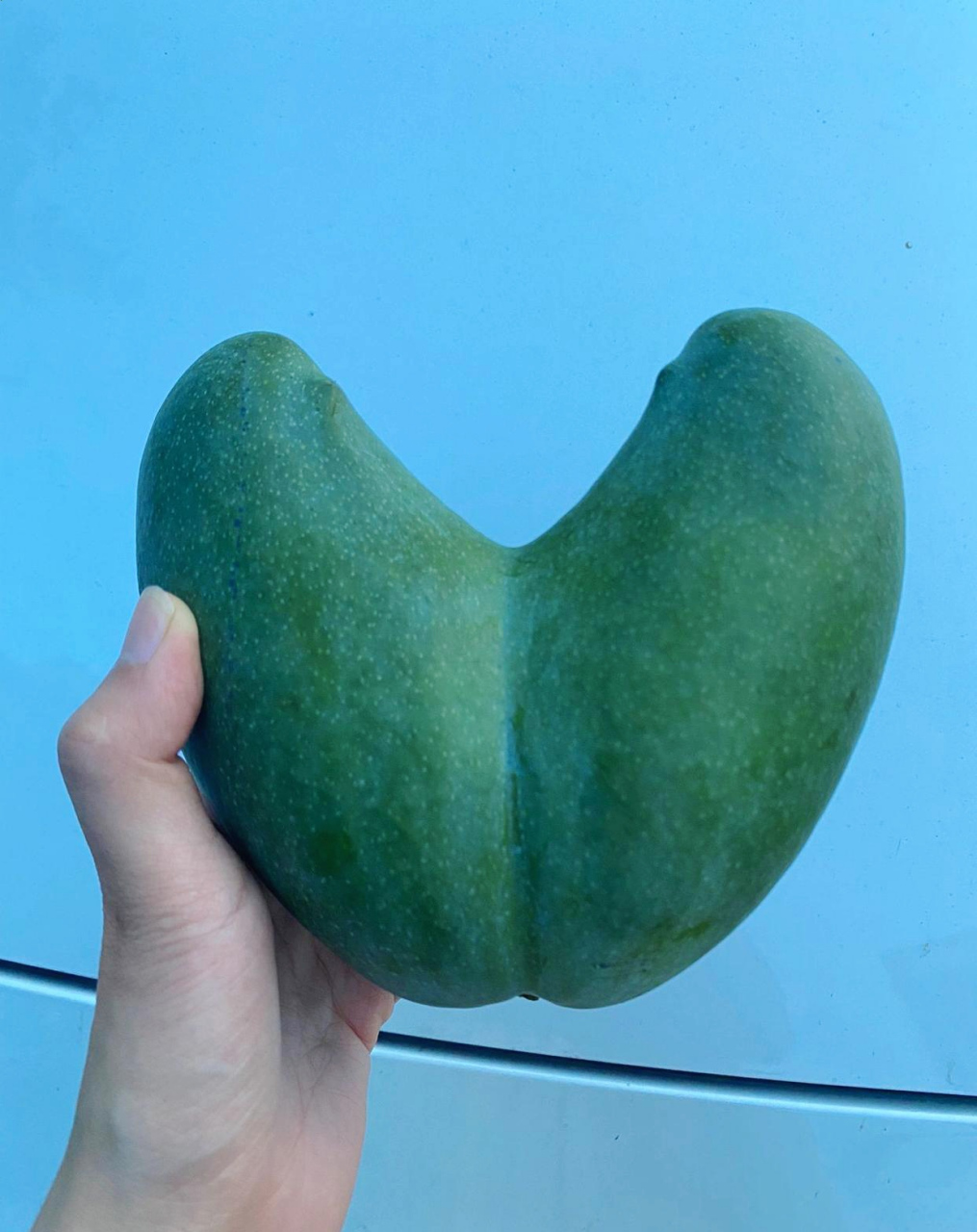 想成为牛魔王的芒果.#趣图搞笑