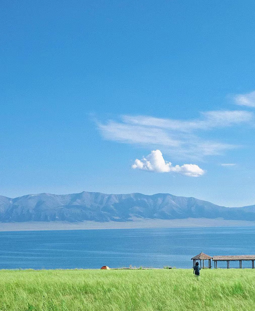 风景,也太像动漫的样子了,夏天总要来一趟伊犁把,体验在辽阔土地上风
