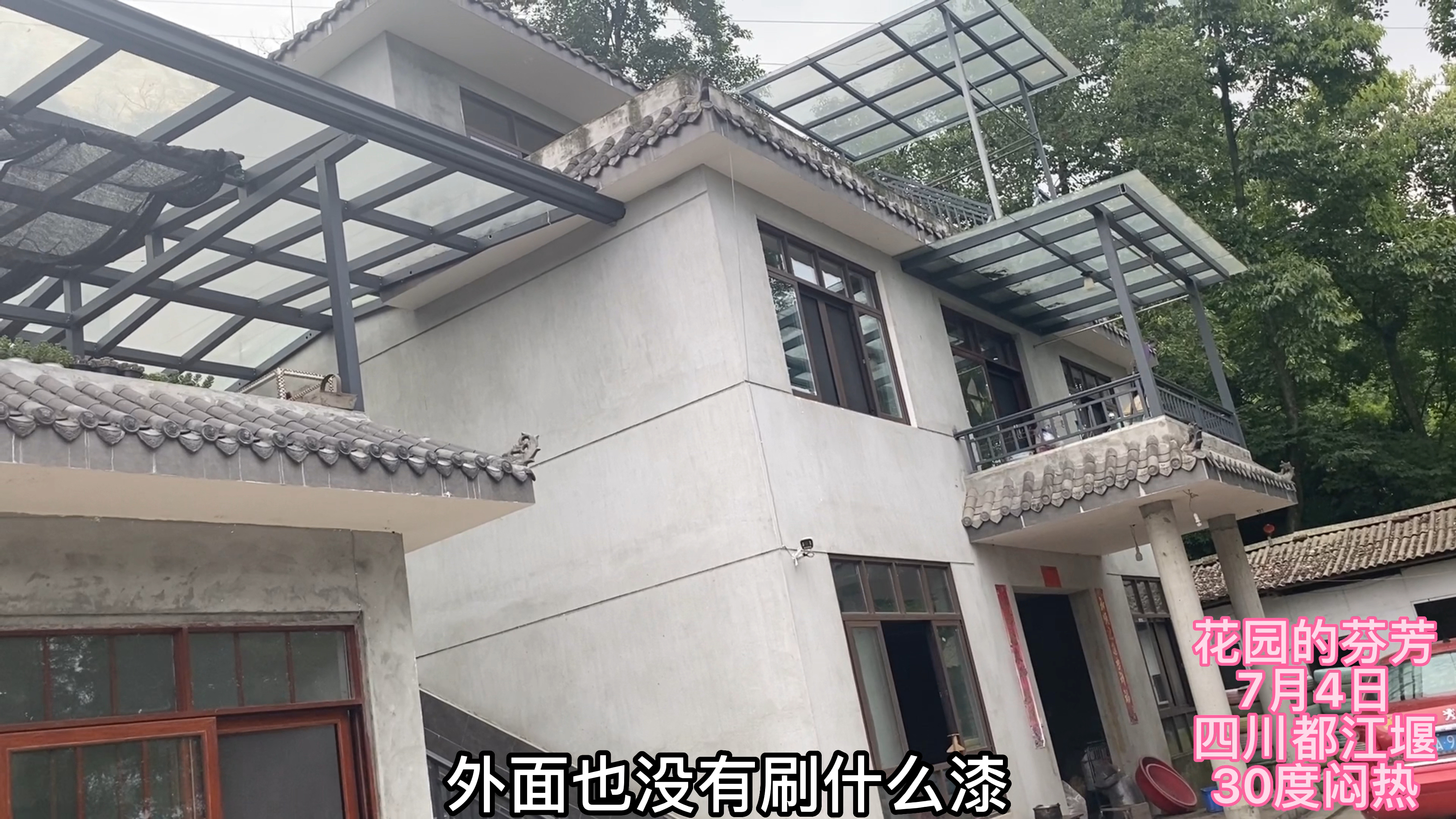 想把多肉院子装修成民宿,有猫有狗,这样的地方有市场吗?