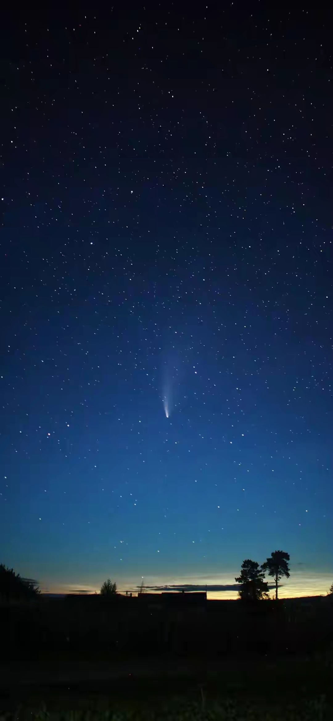 1080_2338竖版 竖屏