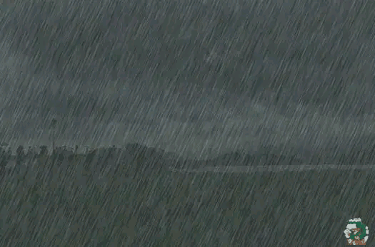 上善若水——水能生财