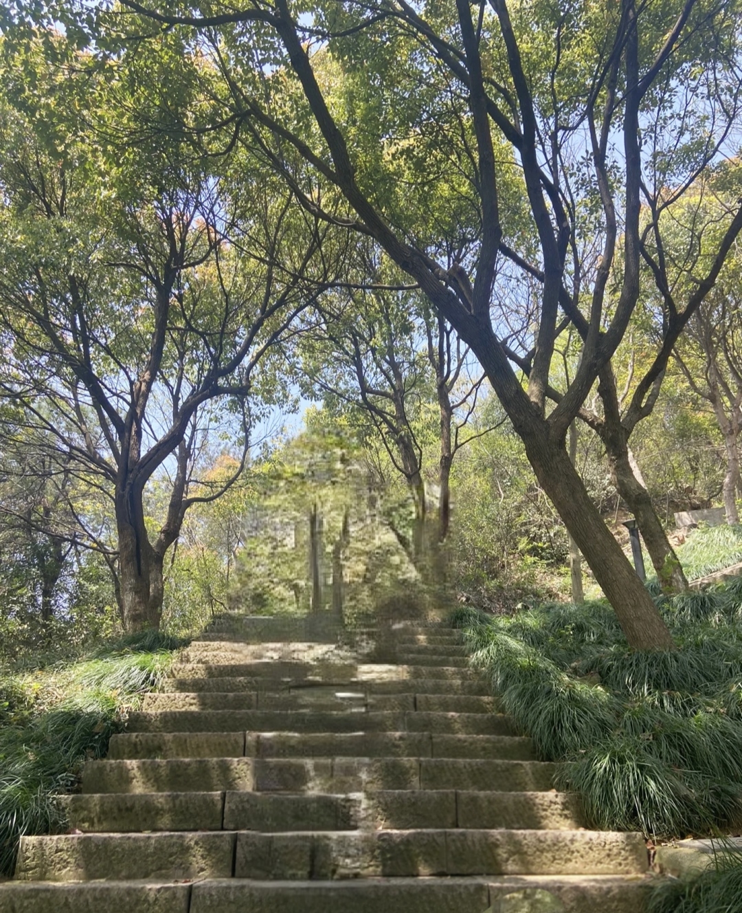 仁皇山 风景在路上