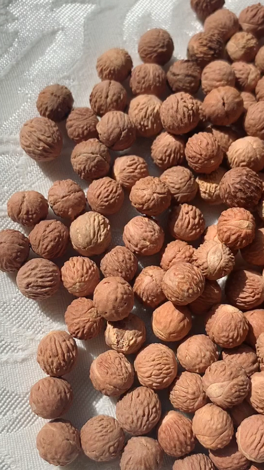 原来菩提子长串是这种野生酸枣核做的呀