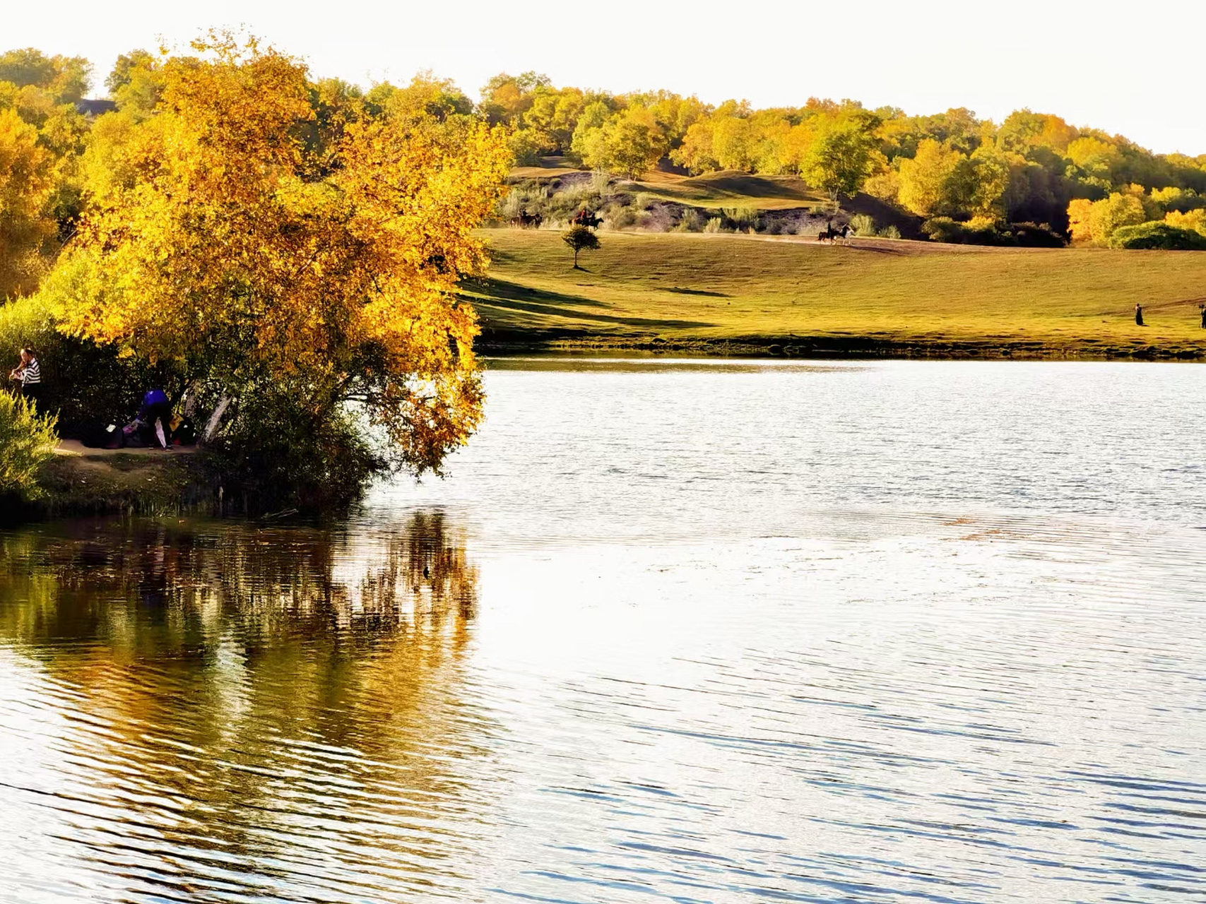 坝上秋色 67乌兰布统公主湖