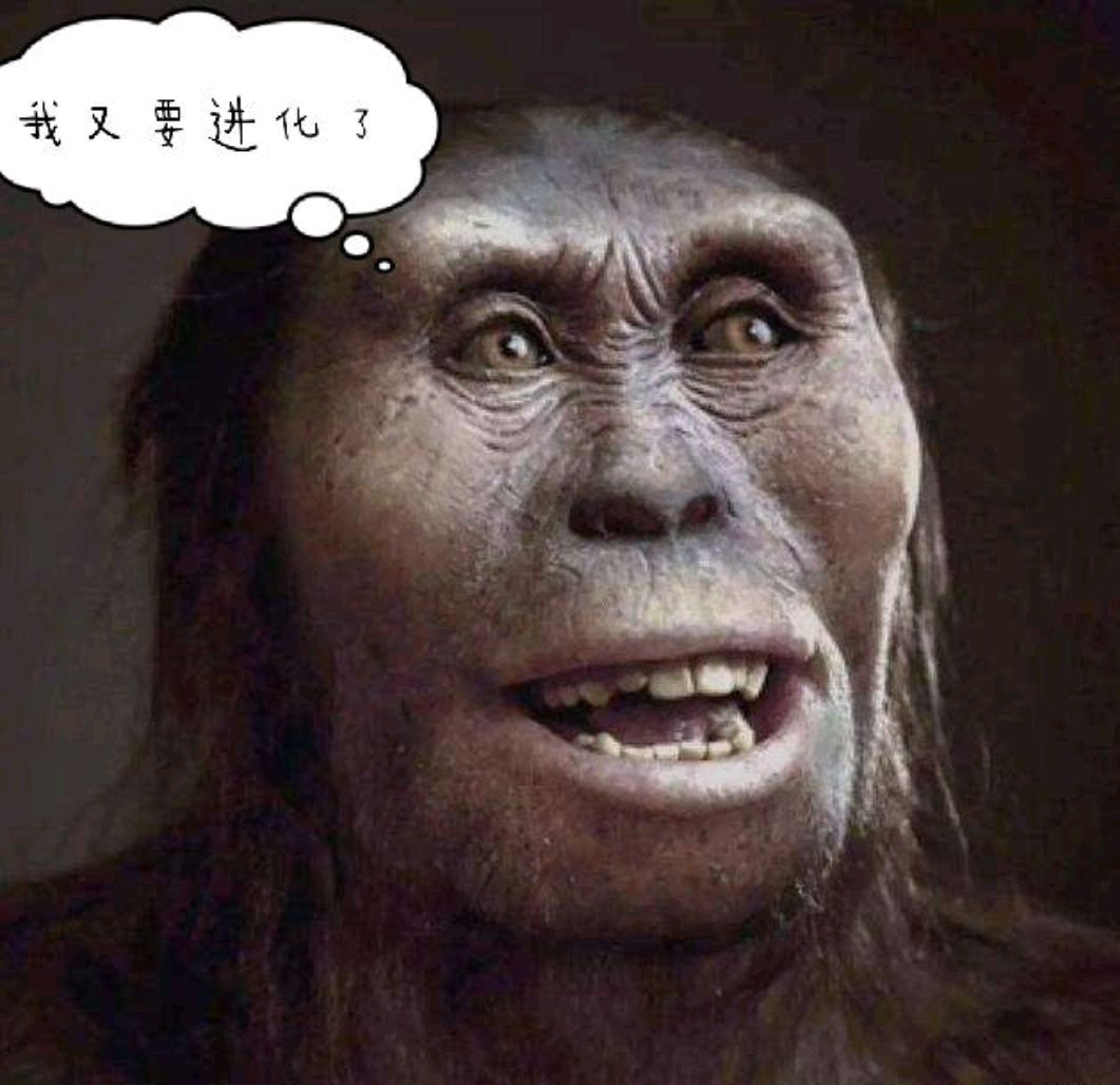 人类如何进化而来?是否还会进化?搞笑图片来解答