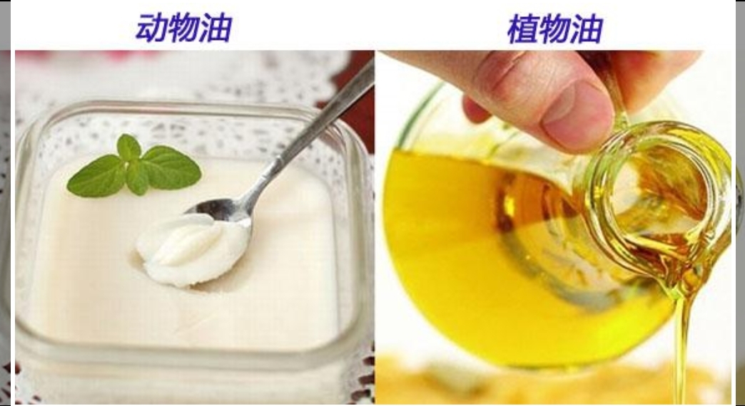 动物油和植物油的区别