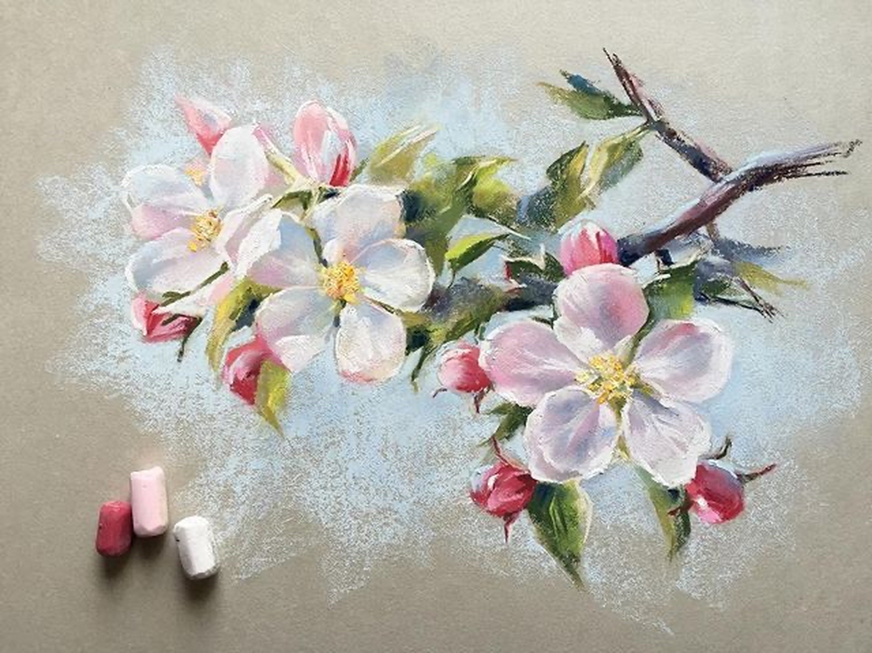 艺术研习社# 色粉画 .lenokdih