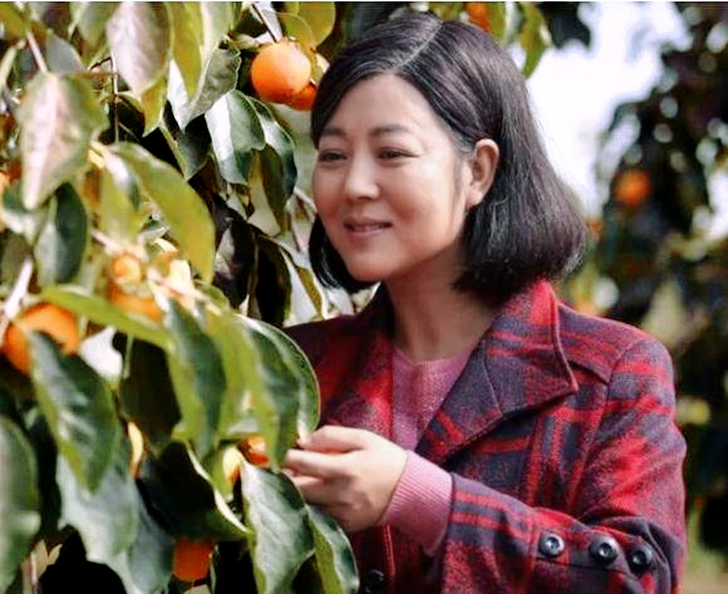 因《当家的女人》张菊香而走红的农村一姐王茜华,最近怎么样了?