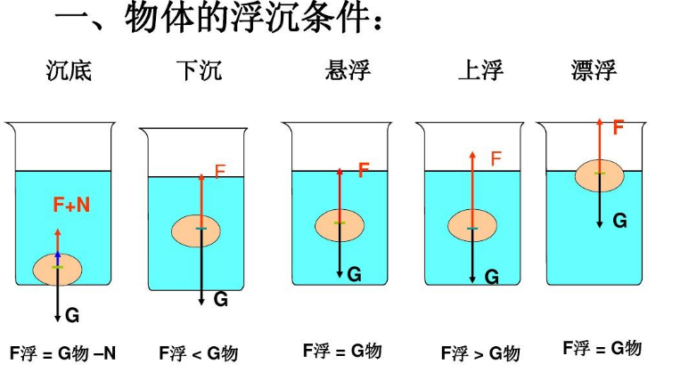 物体的浮沉条件