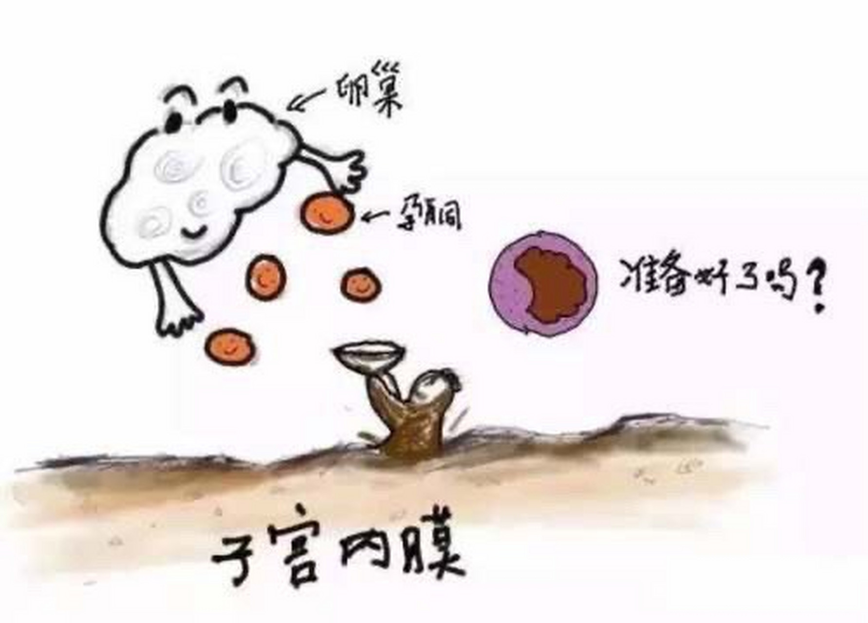 孕酮其实是呈脉冲式分布的,早上,中午,晚上,你去测可能值都不一样.