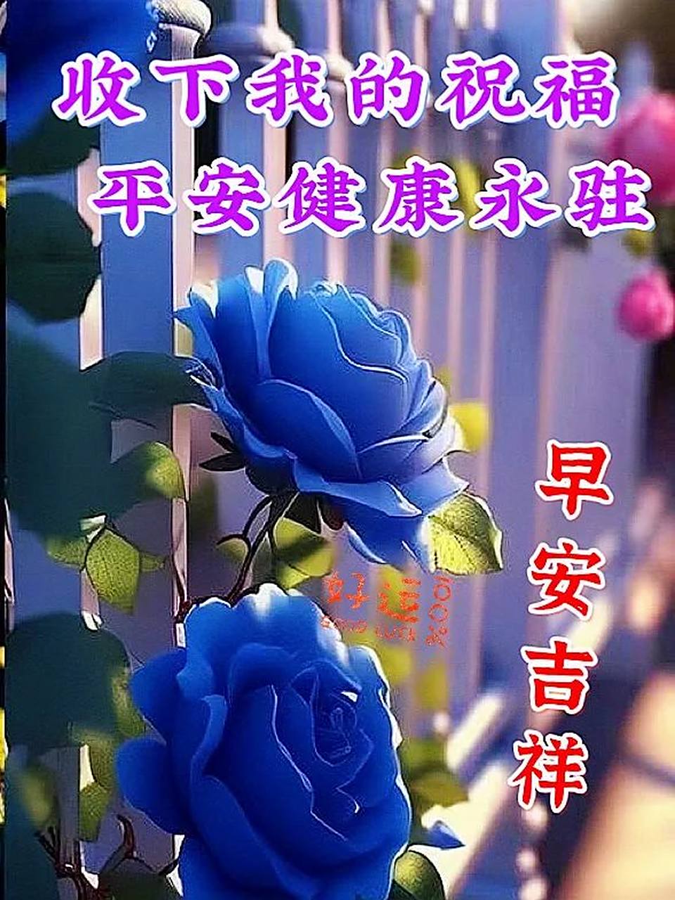 女人阳光心态早安心语	早安问候语 早安图片 1.