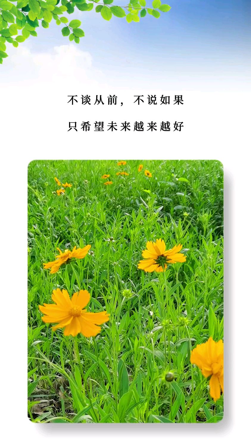 不谈从前,不说如果