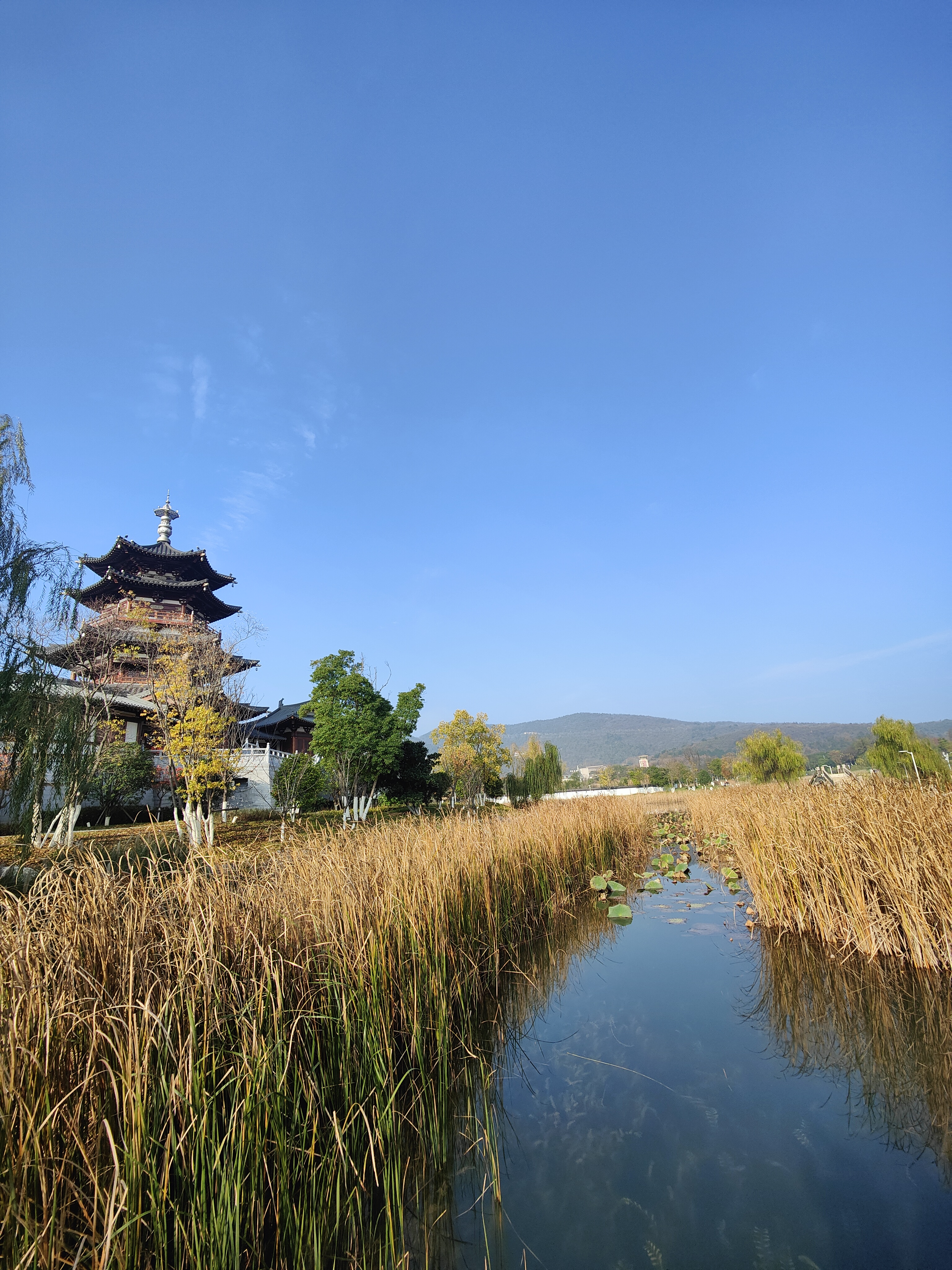 汤山温泉公园图片