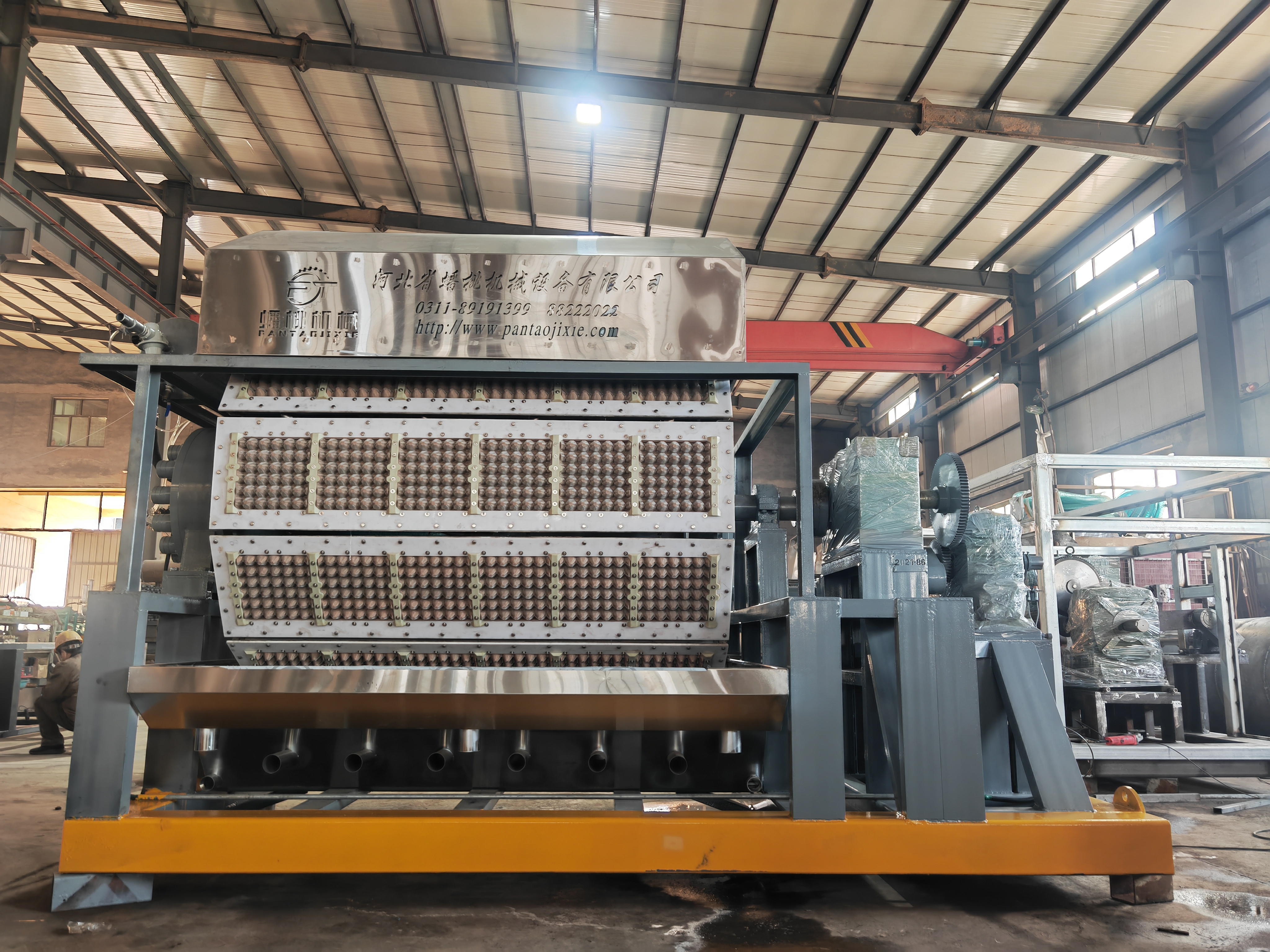 纸浆鸡蛋托加工生产设备实物相片