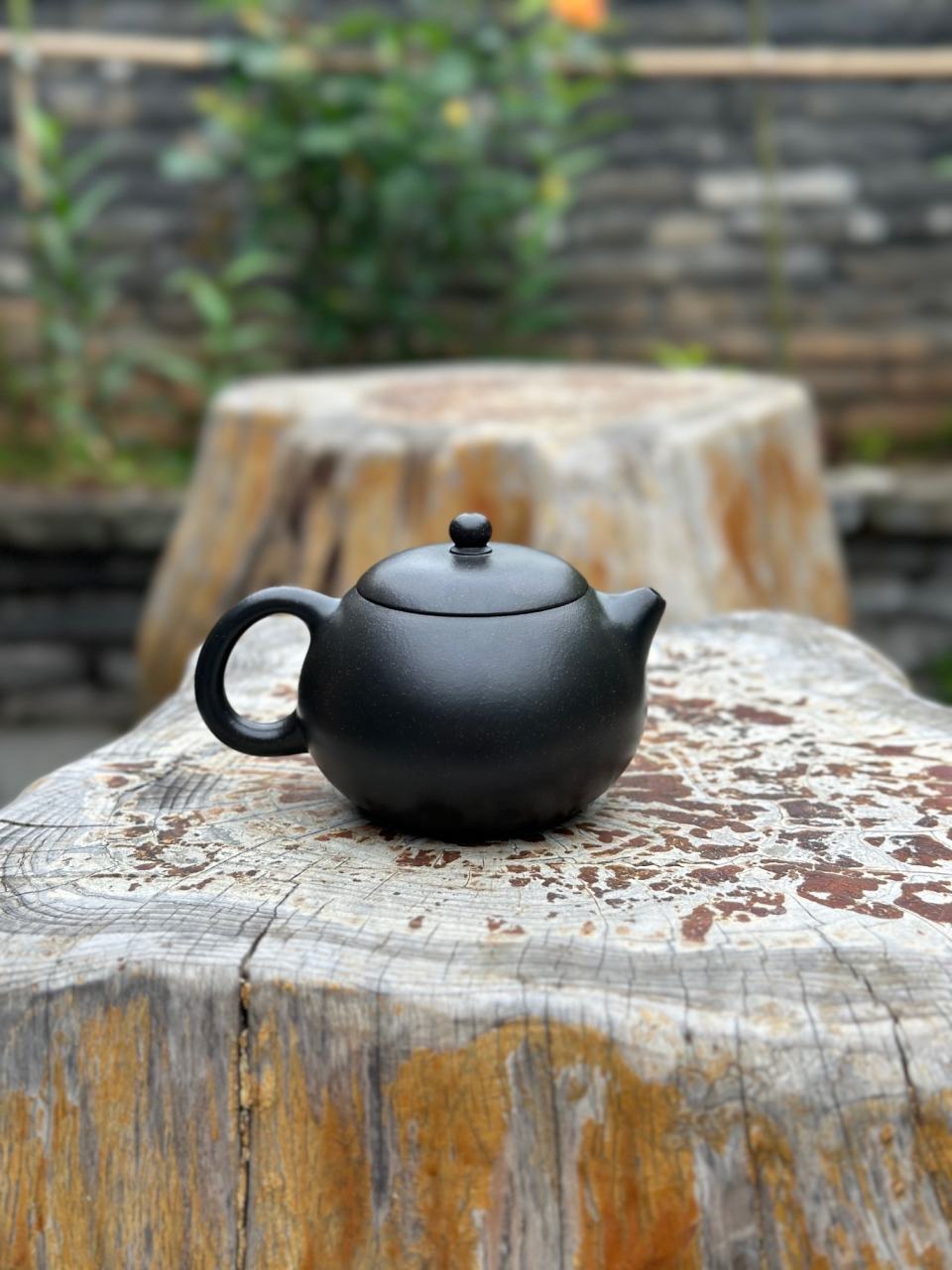 【西施】 九龄君子兰泥料 220cc 高工汤宣武作品,范泽锋监制!