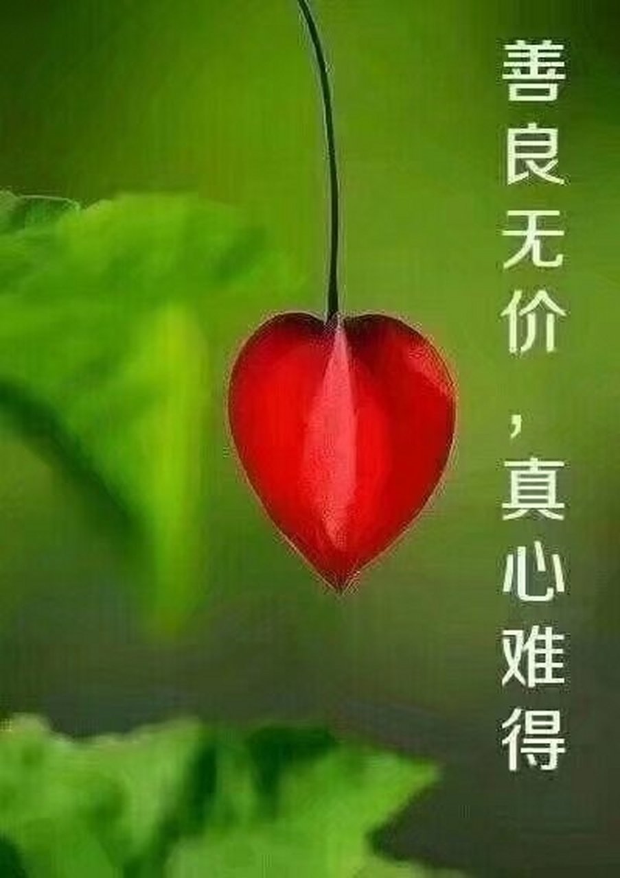 善为至宝,一生用之不尽. 心作良田,百世耕之有益.