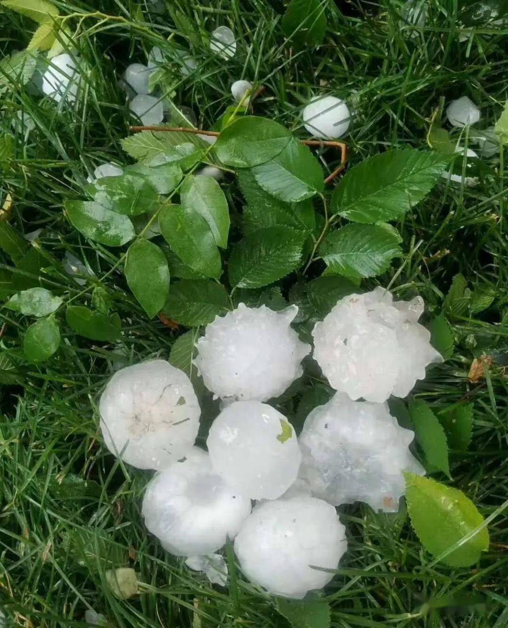 以下是冰雹形成和下降的一般情况:  雷暴云形成:冰雹通常在强烈的雷暴