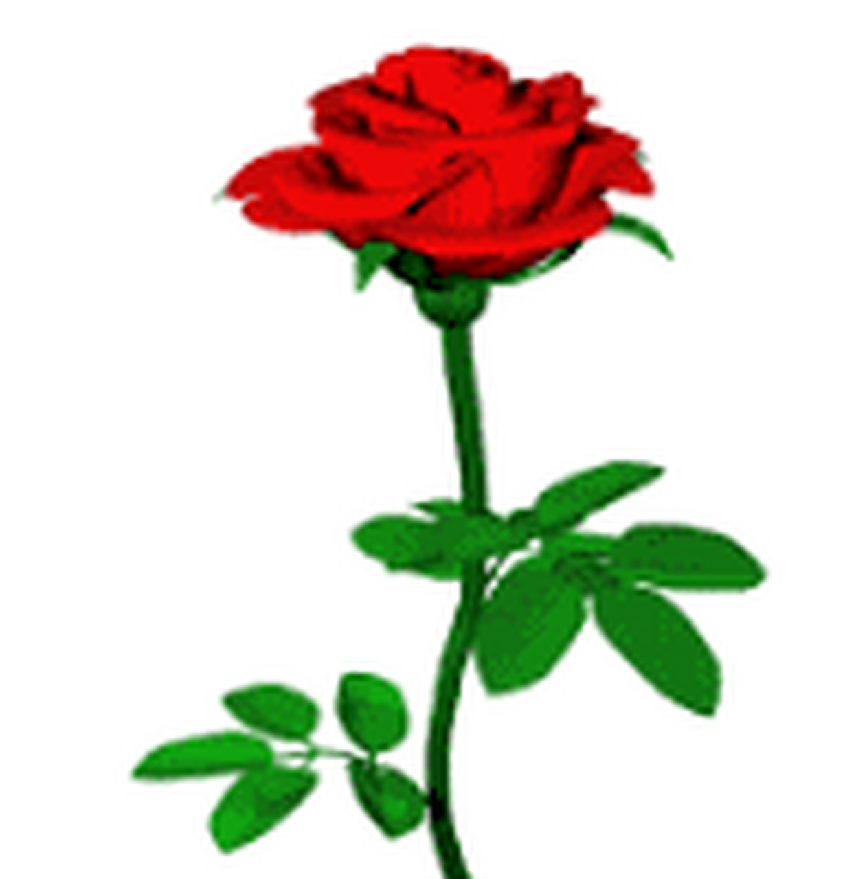 表情包# 你在我眼里都是爱心的形状