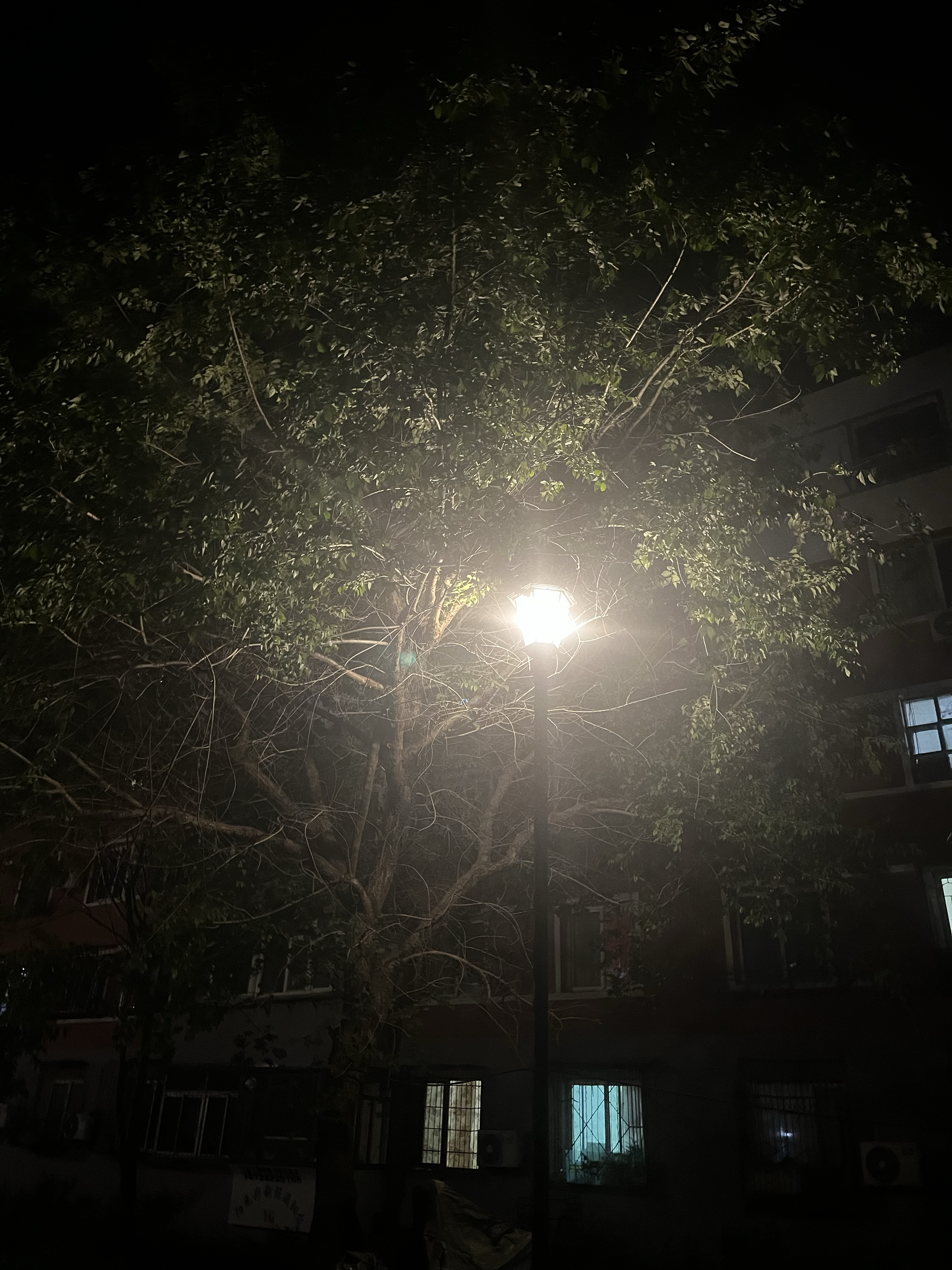 小董的离婚日记