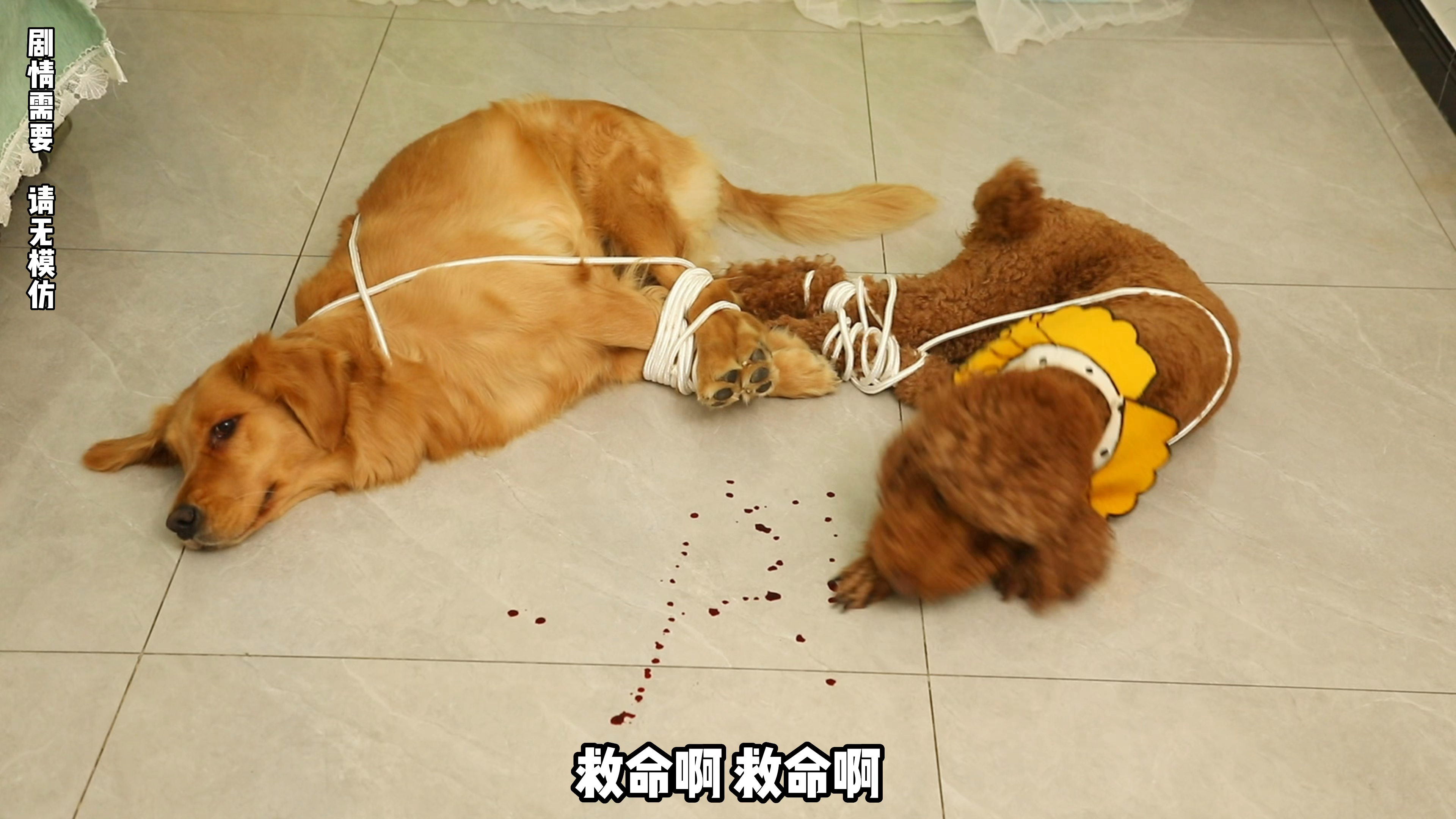 coco奶茶合伙欺骗主人