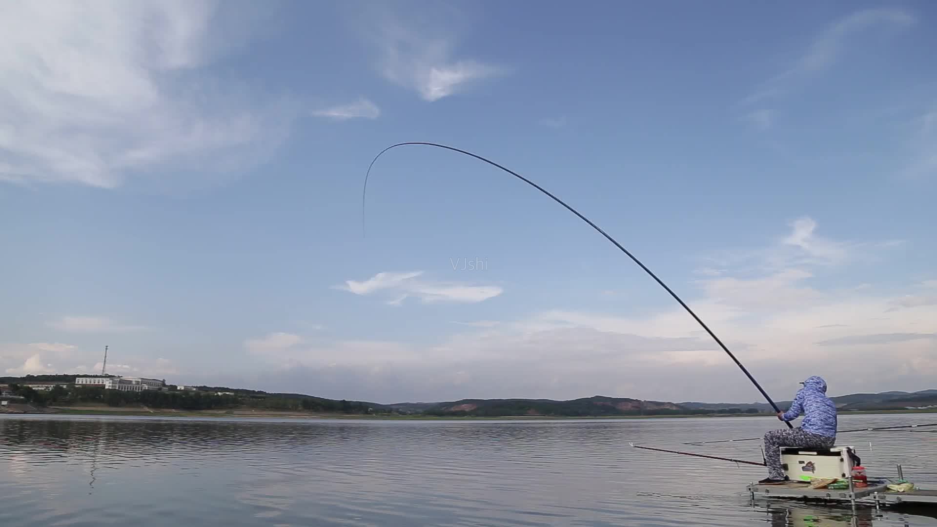 入秋了你還在釣鯽魚?秋季的鯉魚排隊咬鉤,難道釣它不香嗎?