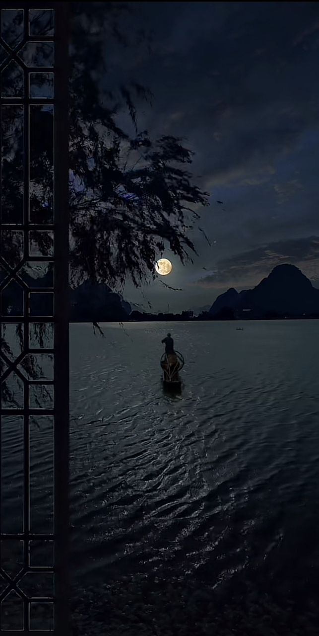 分享一波山林·夜月壁纸,好喜欢这种风格,看似孤独却又很安静的感觉