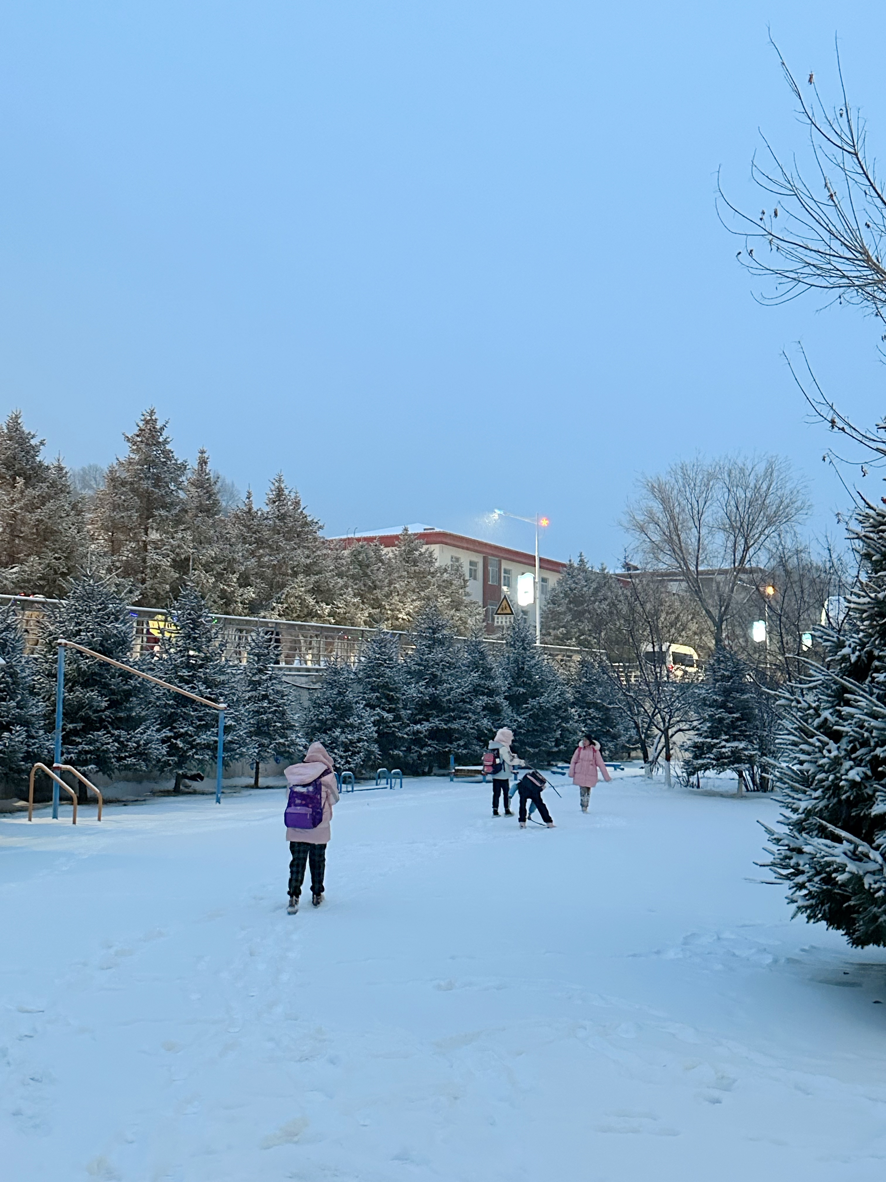 下雪了,冬天雪地打滚怎么穿?  哇,这个冬天终于下雪了!