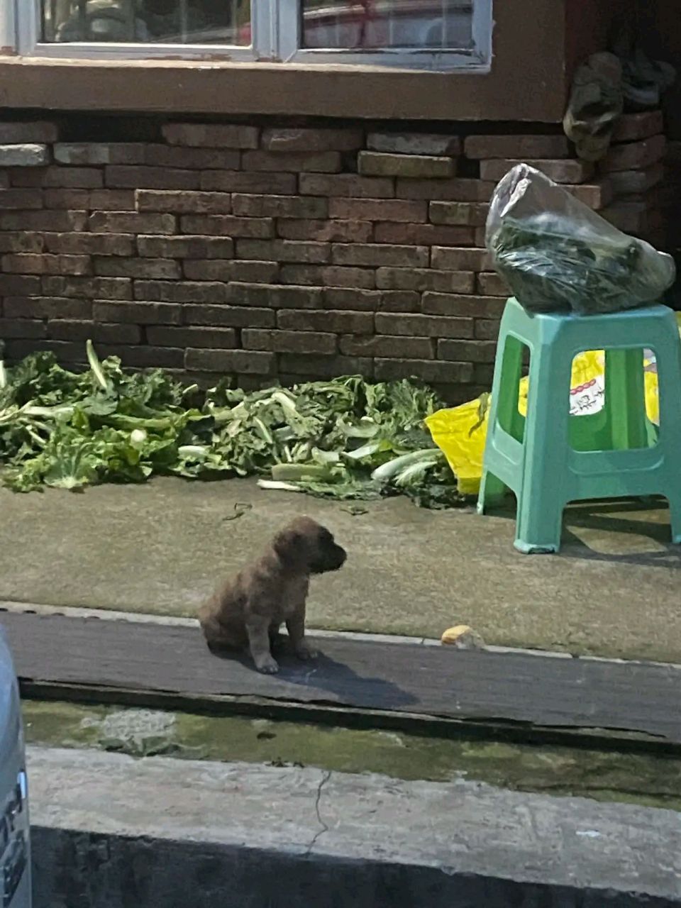 表叔开着货车来县城卖西瓜,我爸去菜市场遇见了,便喊表叔来家里吃饭