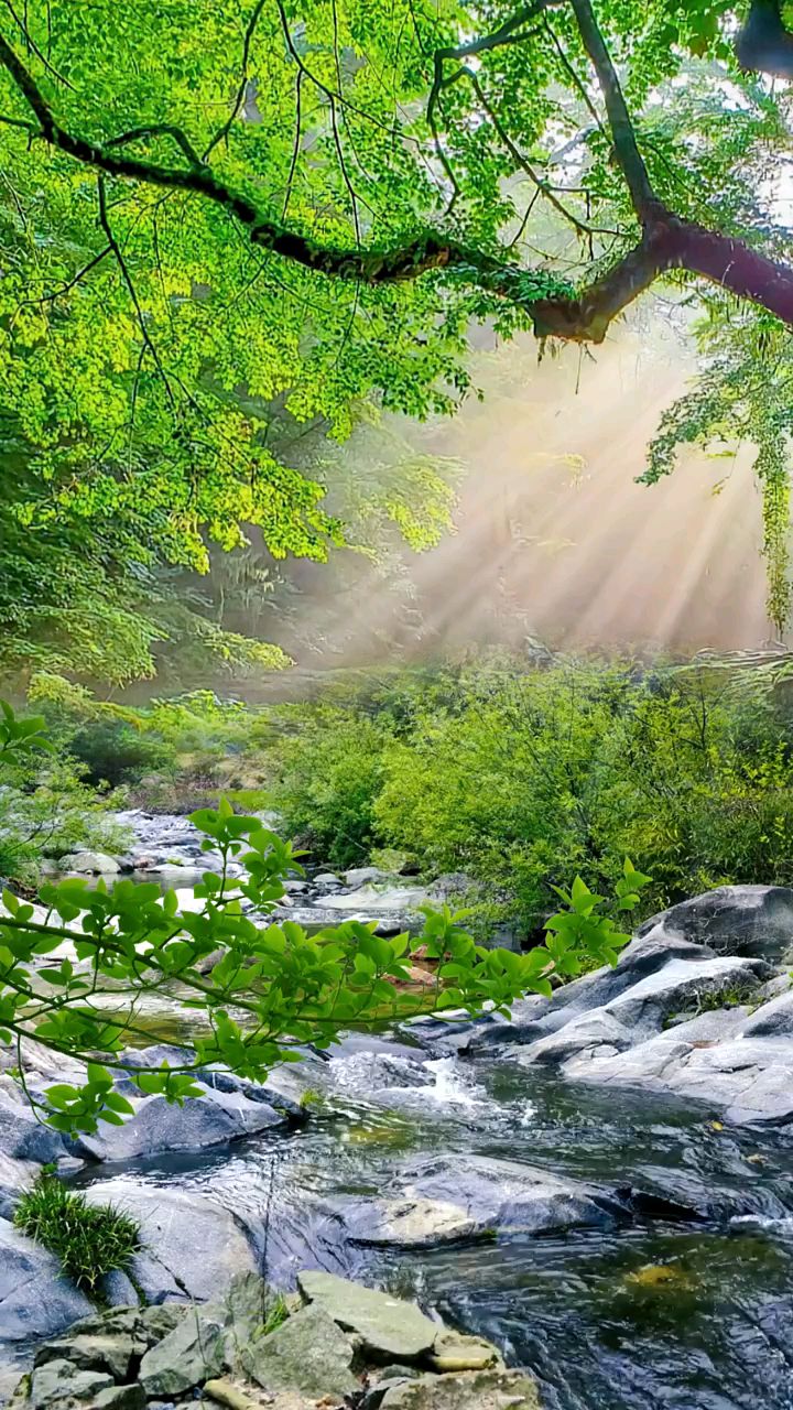 大自然美景欣赏