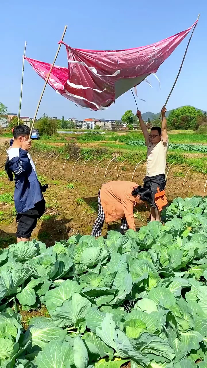 火与冰北大怪才图片