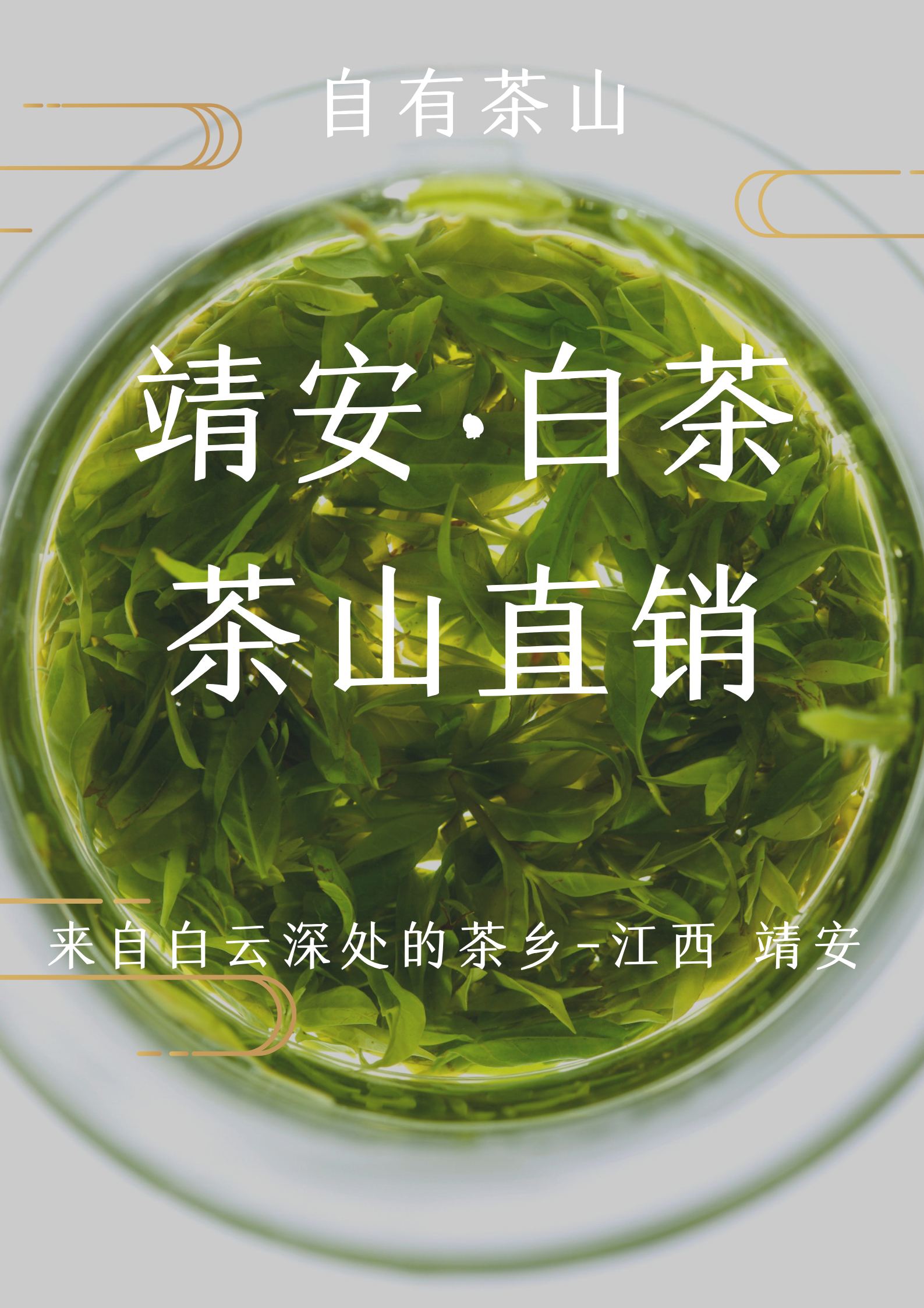 江西靖安白茶-宝峰茶厂