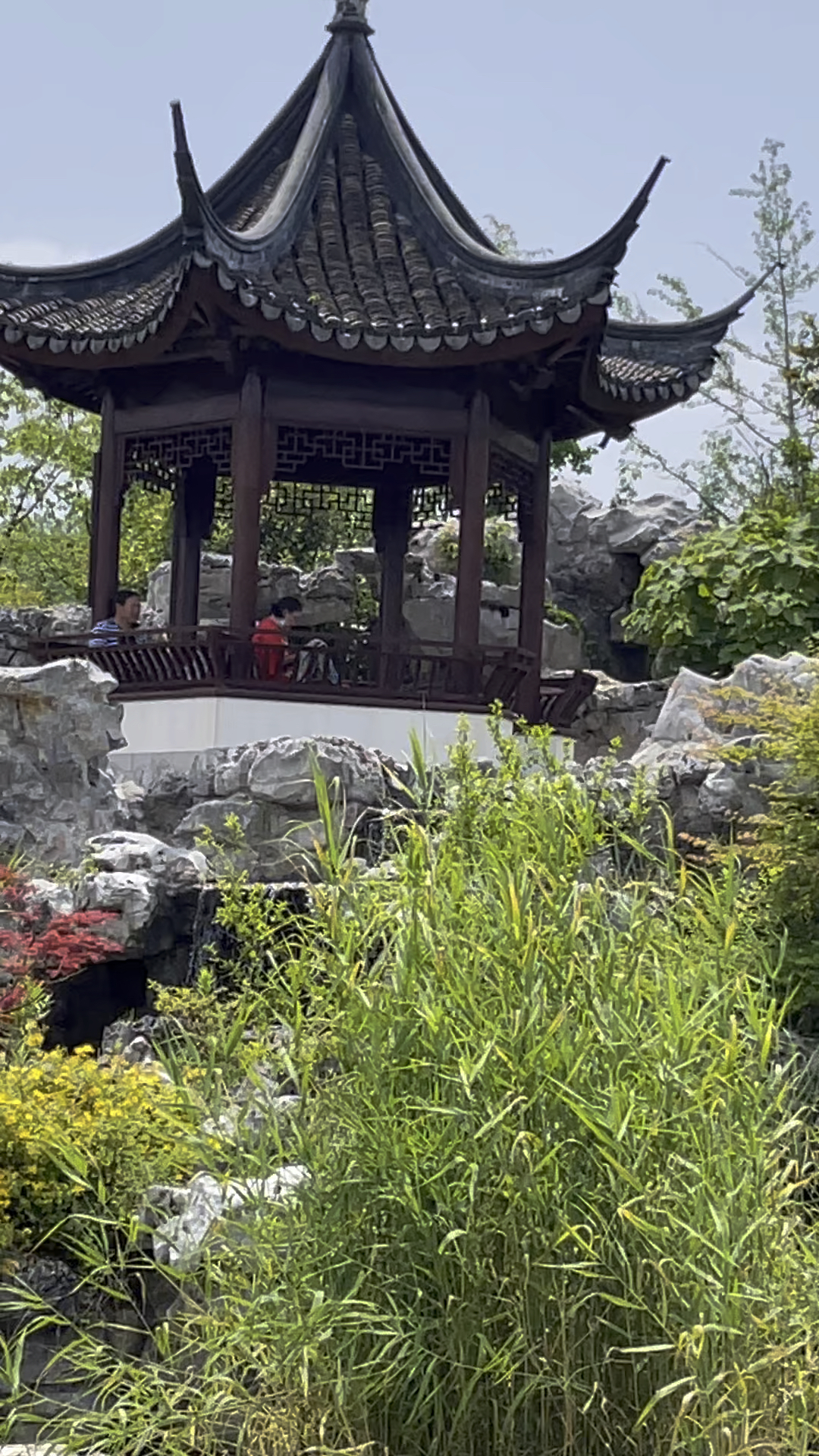 上海青浦有个青溪园,清新美丽,里面有个古代书院,名字叫"知道书院"