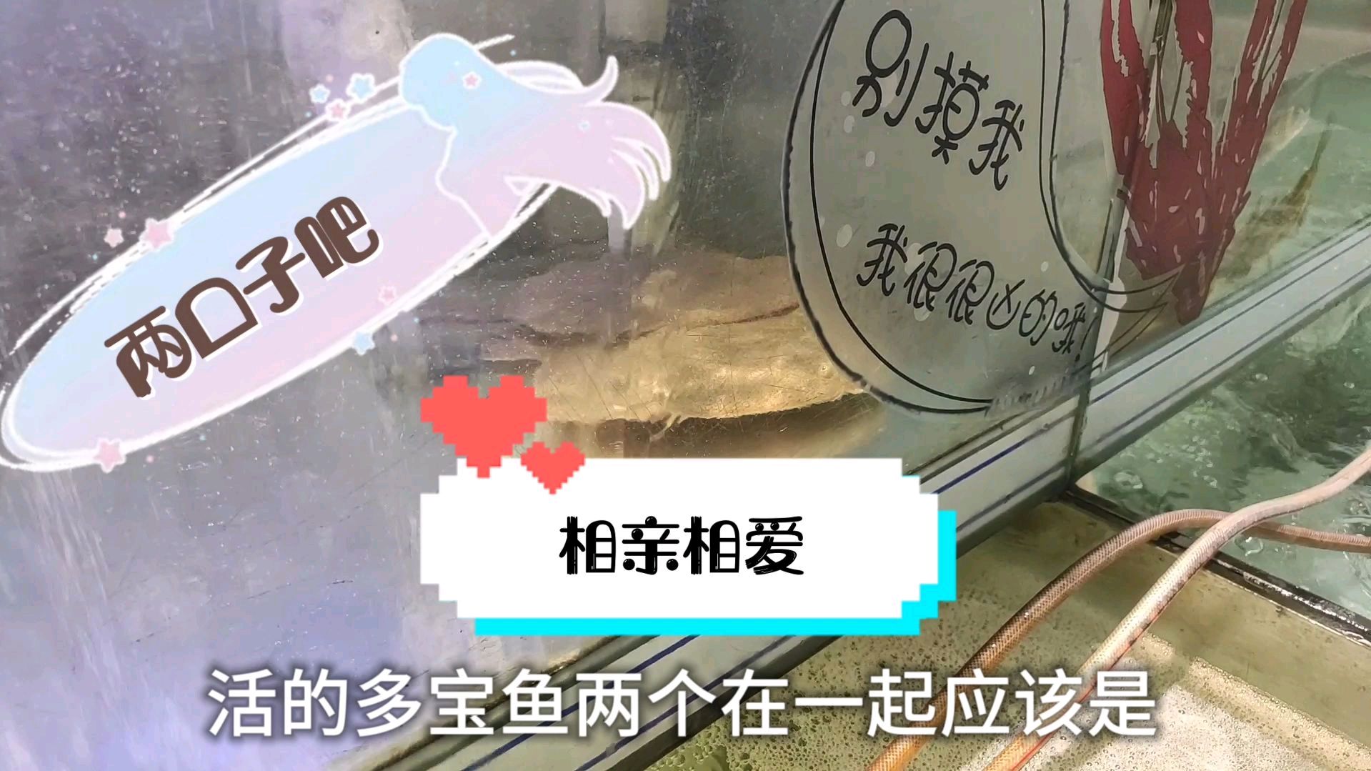 长安大润发,晚上打折大促,结果只买了一条两块钱的面包!咋回事