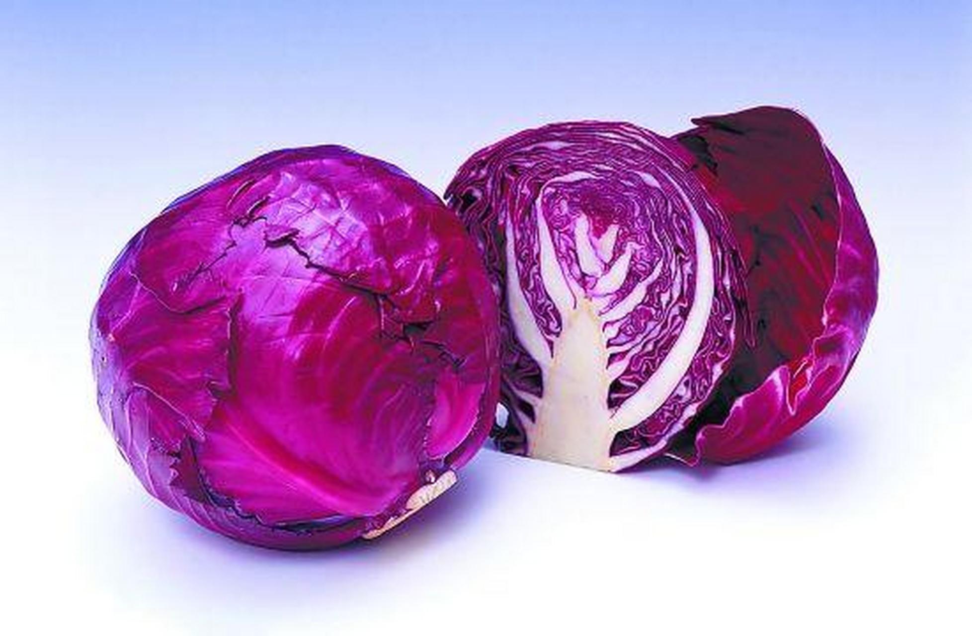 颜值迷人,营养丰富,味道鲜美的紫甘蓝  紫甘蓝俗称紫包菜,也叫紫