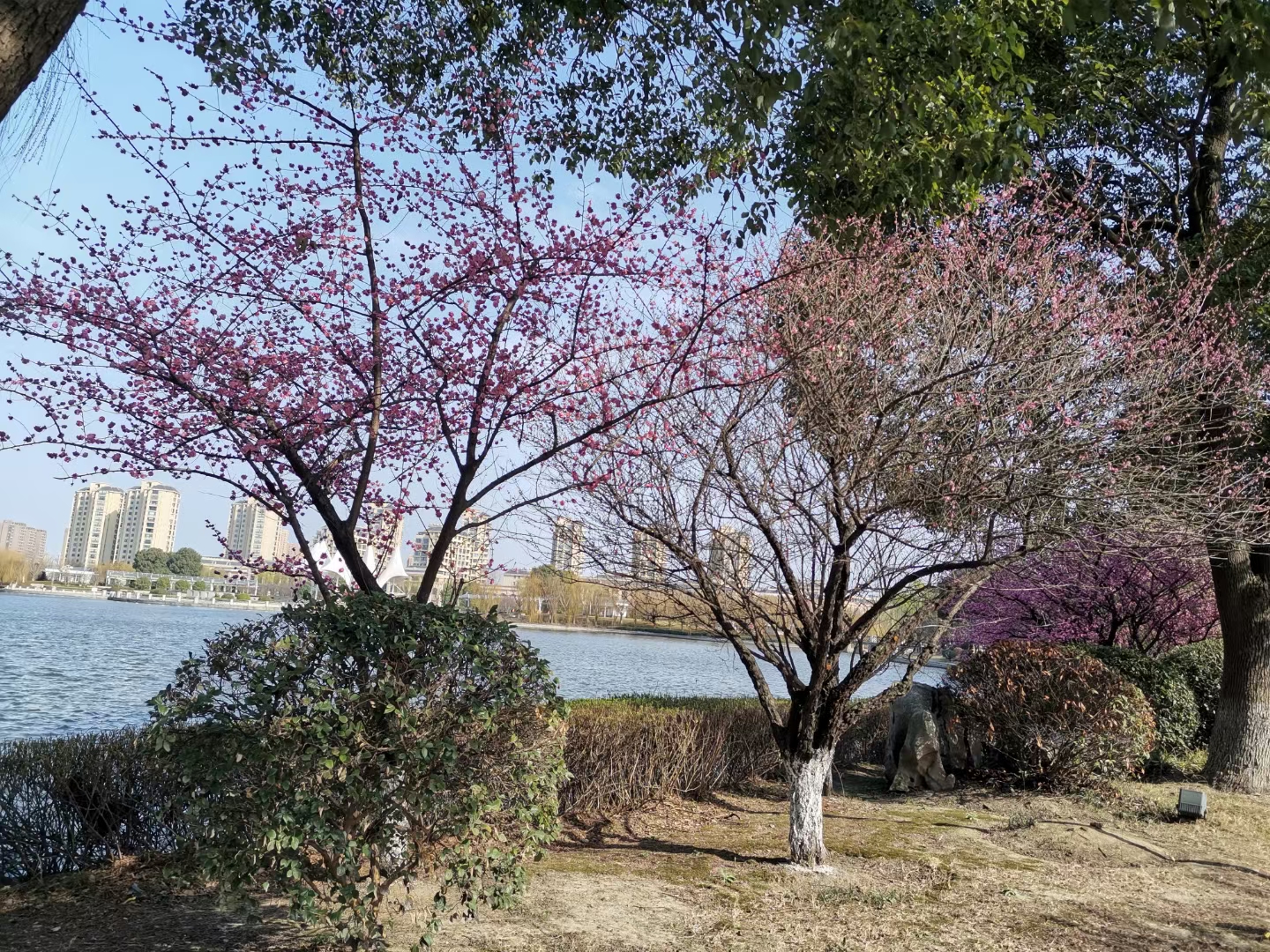 无锡玉祁唐平湖