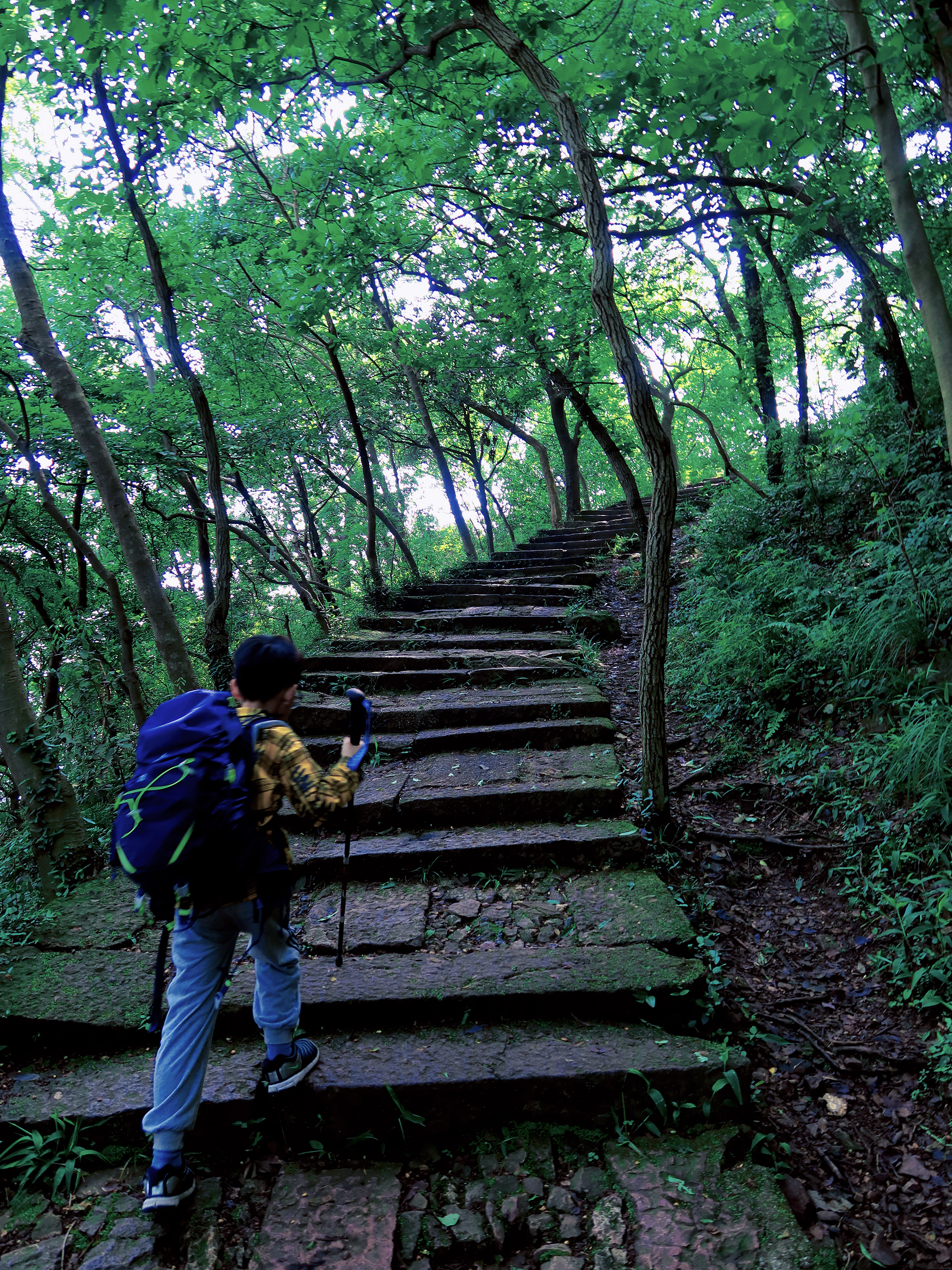 杭州西湖群山亲子爬山路线推荐!小众徒步亲子游计划