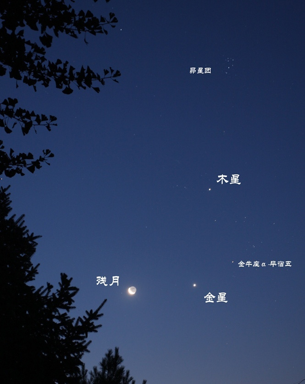 木星伴月图片