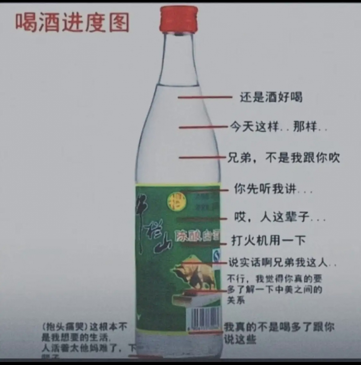 喝酒进度图