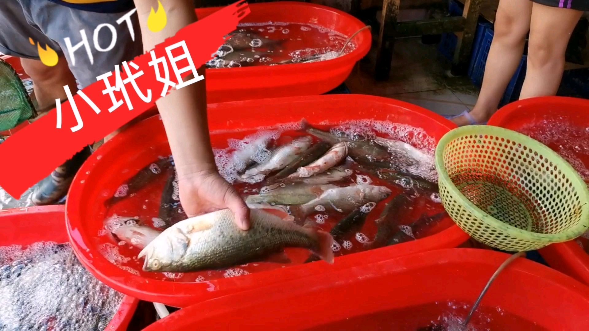 清蒸鲈鱼,电蒸锅里做出酒店菜的味道,价廉物美,老公赞不绝口!