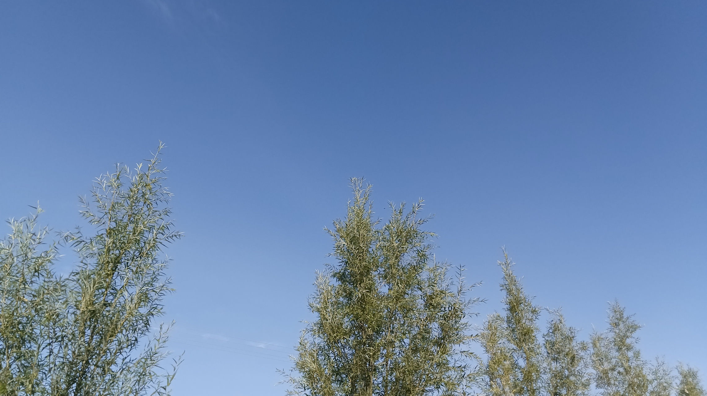 人们常说秋高气爽,果然到了秋天的时候,天空显得特别高.