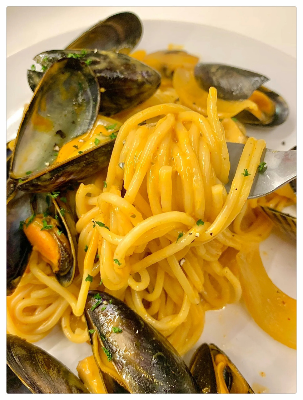 留学生日记|青口贝的正确打开方式get  赶紧去尝尝这款奶油青口贝吧!