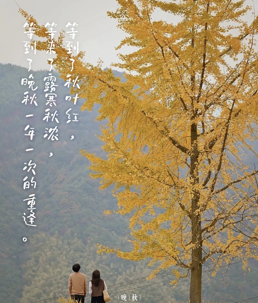 凉秋思念人的图片秋天也会疼