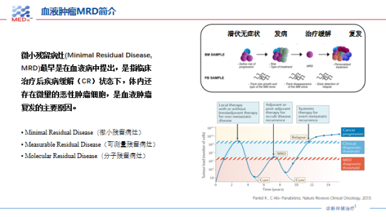 白血病怎么检查图片