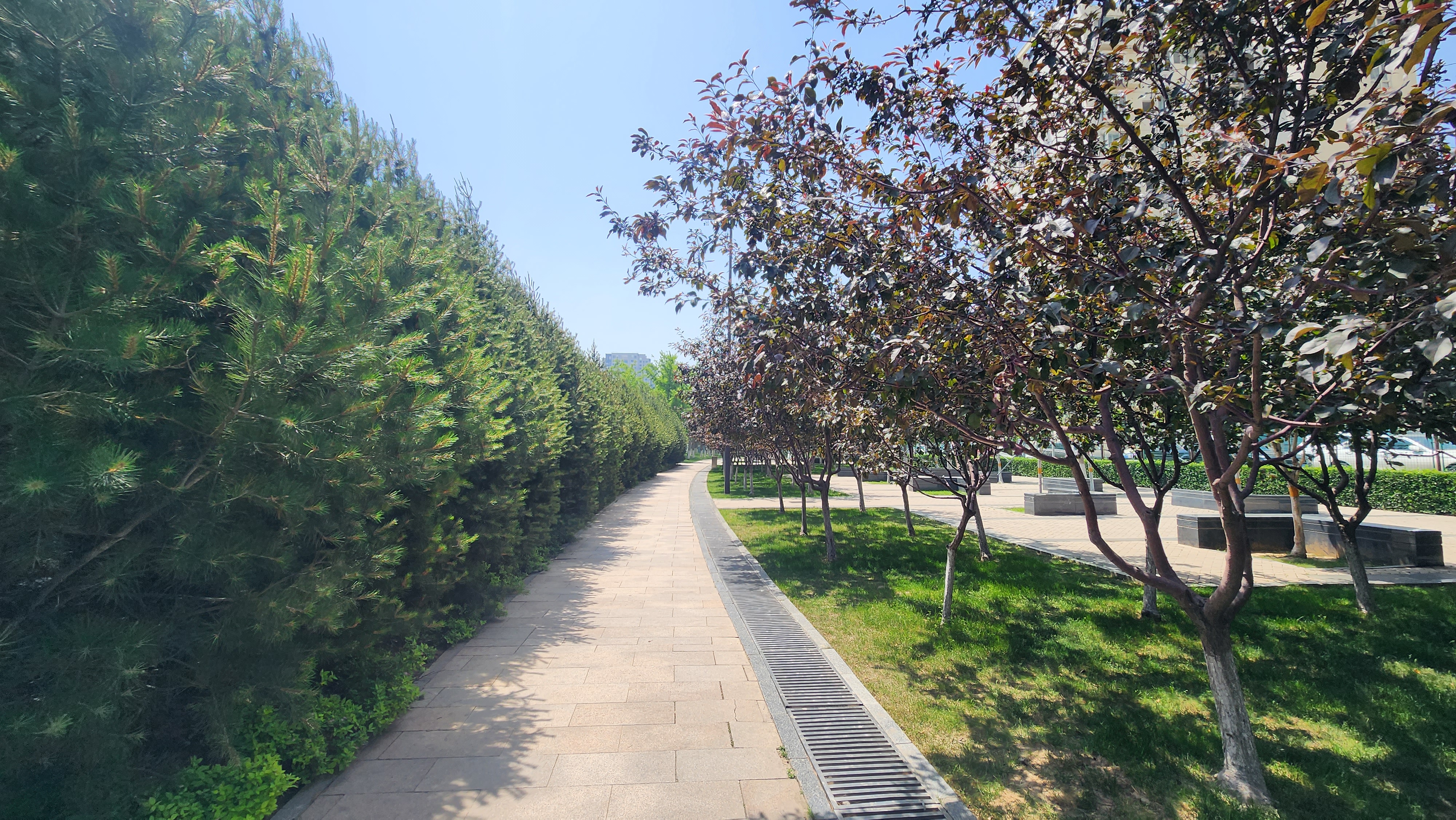 石家庄市民心广场