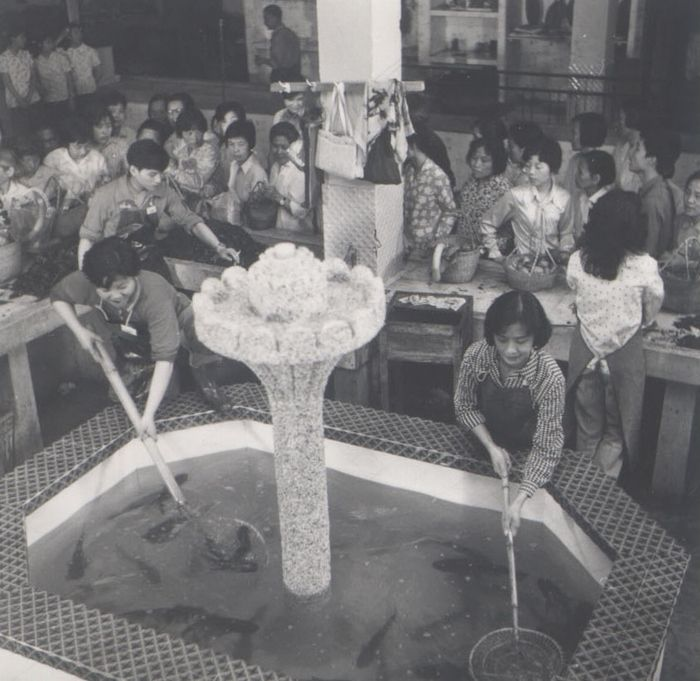 老电影《这不是误会》