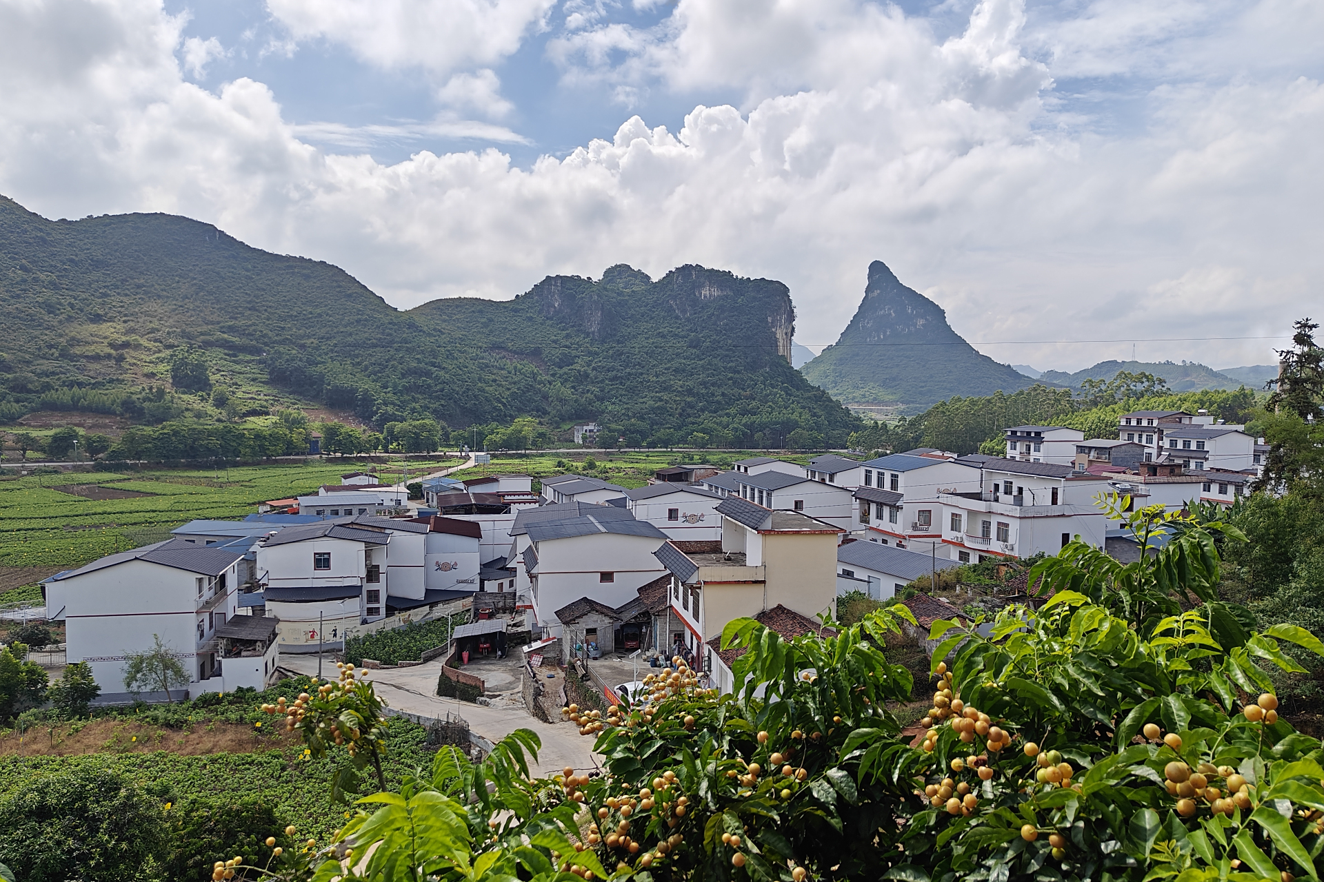 今天我走进了位于环江毛南族自治县大才乡的环江南大门桑蚕专业合作社